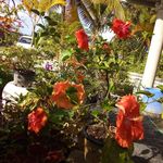 Keith Gomez - @keith.gomez.56679 - Instagram