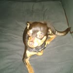 @keithgomsak - Instagram