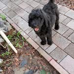 Keith Goodfellow - @goodfellow241 - Instagram