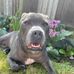 Keith Gough - Facebook