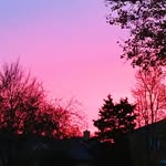 Keith Gray - @jus._.keith - Instagram