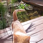 Keith Grieve - Facebook