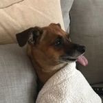 Keith Grimes - @keith.grimes.581730 - Instagram