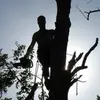 Keith Haney - @keith.haney - TikTok