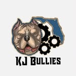 Keith Hardwick - @kjbullies - Instagram