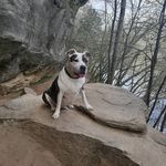 keith heck - @keithhh_heck - Instagram