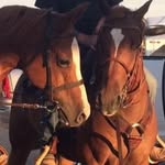 Keith Henrickson - @krh333 - Instagram