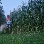 Keith Herb - @legdays - Instagram