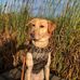 Keith Herd - Facebook