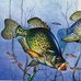 Keith Herring - Facebook