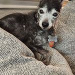 Keith Hess - @keith.hess.184 - Instagram
