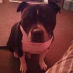 Keith Hibbert - @bbert.374 - Instagram