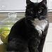 Keith Hillman - Facebook