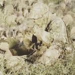 Keith Hinds - @kinds57 - Instagram