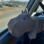 Hippo Keith - @happy.hippo.keith - Instagram