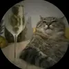 Keith Ho - @keith.ho - TikTok