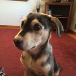 Keith - @keithhoch - Instagram
