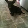 Keith Hofer - @keith.hofer7 - TikTok