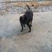 Keith Holley - Facebook