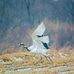 Keith Homan - Facebook