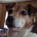 Keith Housley Sr. - Facebook