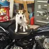 keithhousleysr - @keithhousleysr - TikTok