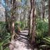 Keith Doran Holistic Healing - Facebook