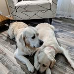 Keith Hurst - @cash_and_june_2024 - Instagram