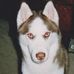 Keith Interrante - Facebook