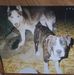 Keith Interrante - Facebook