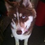Keith Jacques - @keithtakamine - Instagram