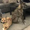 Keith Jacques - @keith.jacques - TikTok