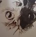 Keith A Jarrell - Facebook