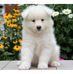 Keith Jolliffe - Facebook