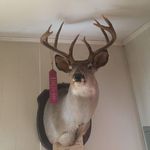 Keithjudkins - @judkins_whitetail_freak - Instagram