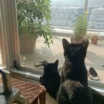 Keith Kato - @keith218_ - Instagram