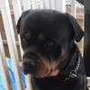 keithkellum745 - @keithkellum745 - TikTok