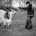 Keith Killeen - Facebook