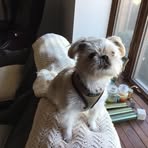 Keith Kirsch - Facebook