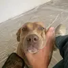 keithboklinger74 - @keithboklinger74 - TikTok