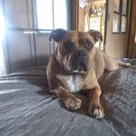 Keith Koonce - @keith_koonce - Instagram