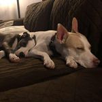Keith Kreger - @kxavier_23 - Instagram