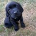 Keith Krueger - Facebook