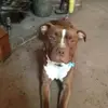 Keith - @keithgladue3 - TikTok