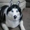 keith - @keithgladue - TikTok