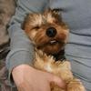 keith landers - @keith.landers2 - TikTok