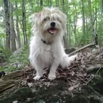 Keith Laprade - @keith.ing.around - Instagram