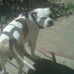 Keith Laprade - Facebook