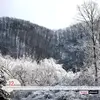 leacockkeith - @leacockkeith - TikTok