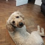 Keith Leech - Facebook